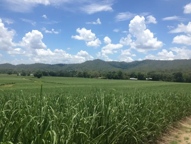 Second view of Homely rural property listing, Lot 5 & 7 Lucas Paddock Road, Pinnacle QLD 4741