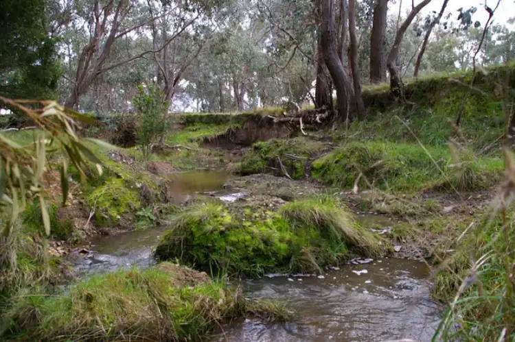 Second view of Homely rural property listing, 280 Shaws road, Merton VIC 3715
