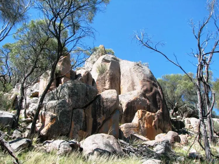 Seventh view of Homely rural property listing, 239 Cypress Drive, Mudgee NSW 2850