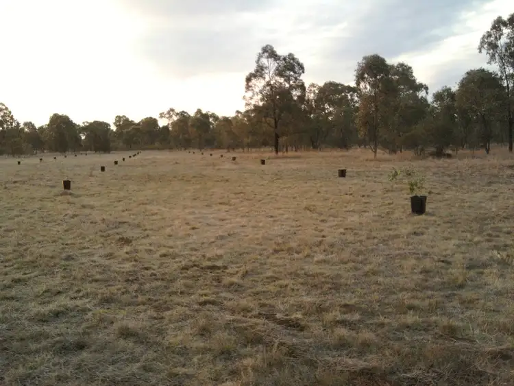 LOT 85 McKEE DRIVE, Tara QLD 4421