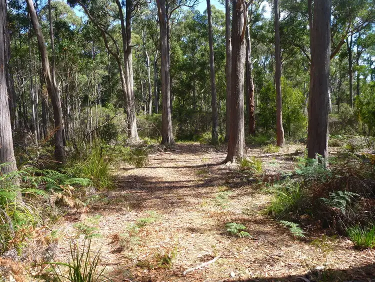 Fifth view of Homely land listing, 236 Long Plains Road, Exeter TAS 7275