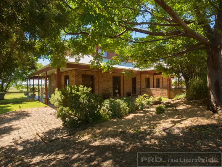 19a Dwyer Street, Oakhampton NSW 2320