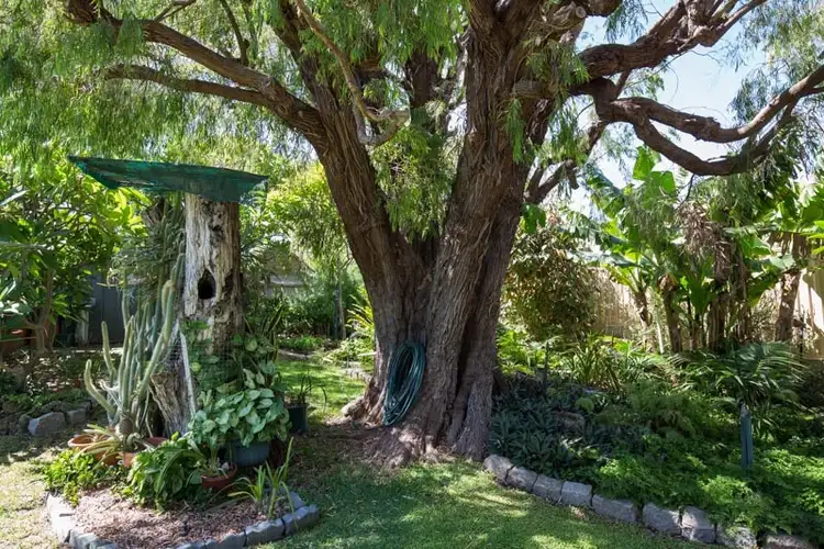 Sixth view of Homely house listing, 17 Boronia Crescent, City Beach WA 6015