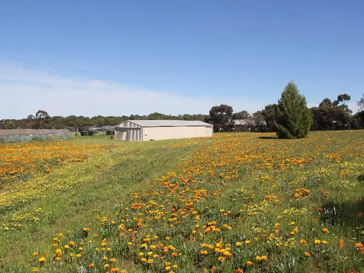 Fifth view of Homely house listing, 81 Tooma Road, Murray Bridge SA 5253