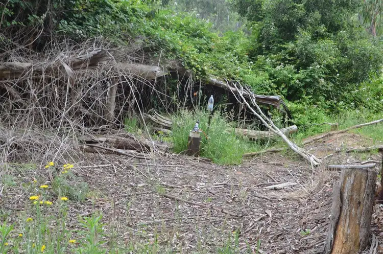 Fifth view of Homely rural property listing, 00 'Muttaroo' Mines Road, Batlow NSW 2730