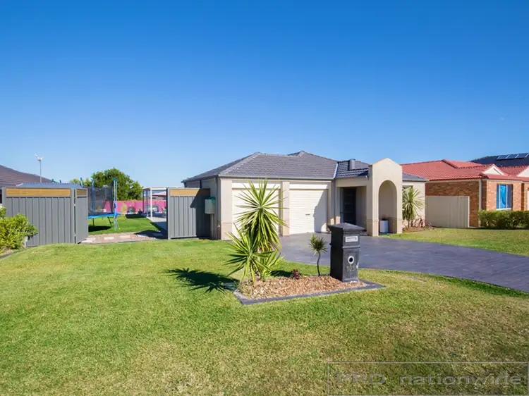103 Lemonwood Circuit, Thornton NSW 2322