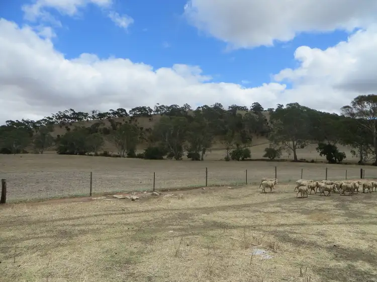 Seventh view of Homely land listing, Lots 1,2,3,18, Industrial Street, Sevenhill SA 5453