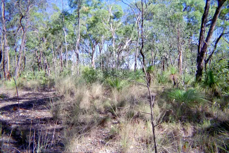Seventh view of Homely land listing, Lot 232 Murphy Road, Captain Creek QLD 4677