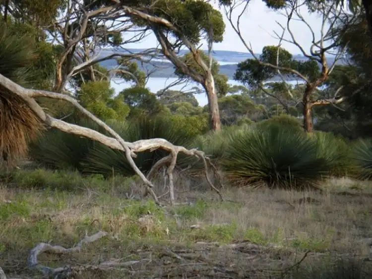 Fourth view of Homely rural property listing, Lot 501 Hundred of Haines, American River SA 5221