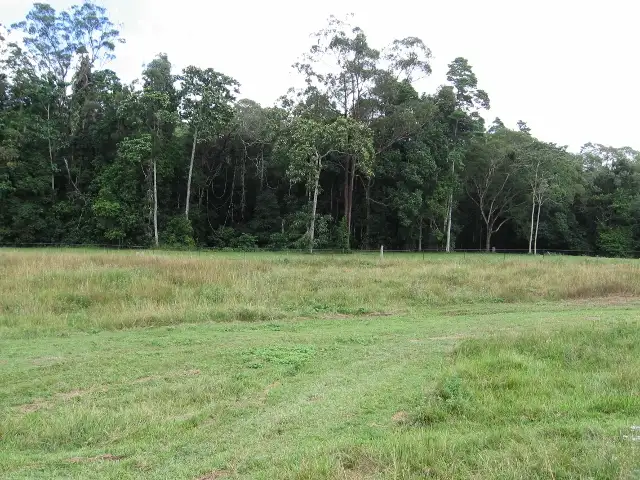 Fourth view of Homely house listing, 910 Euluma Creek Road, Julatten QLD 4871