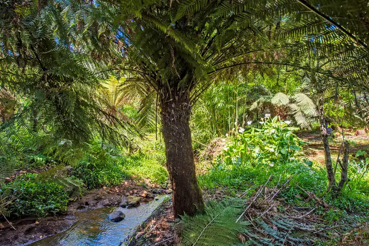 Fifth view of Homely house listing, 164 Mount Street, Hillcrest TAS 7320