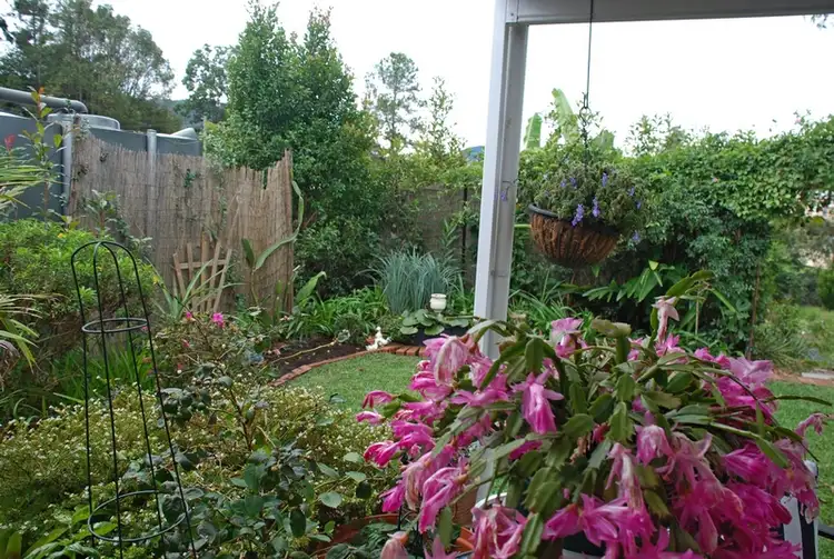 Seventh view of Homely house listing, Address available on request