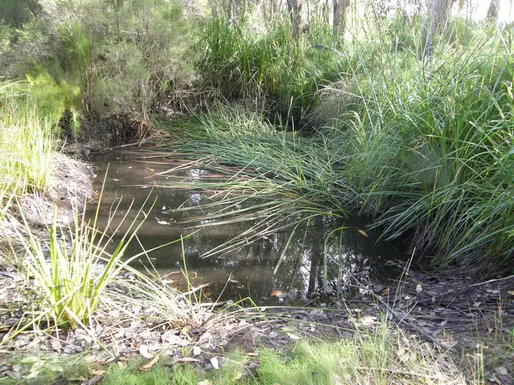 Fifth view of Homely land listing, 74 Narrawallee Ck Rd, Lake Conjola NSW 2539