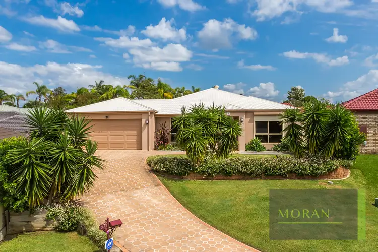 37 Sugargum Court, Molendinar QLD 4214