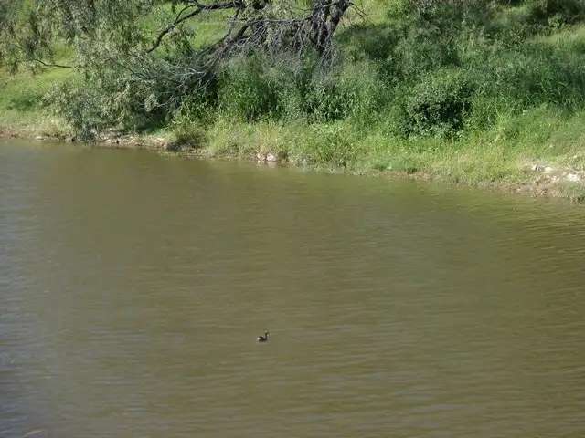 Third view of Homely land listing, Lot 60 Ropeley Rockside Road, Ropeley QLD 4343
