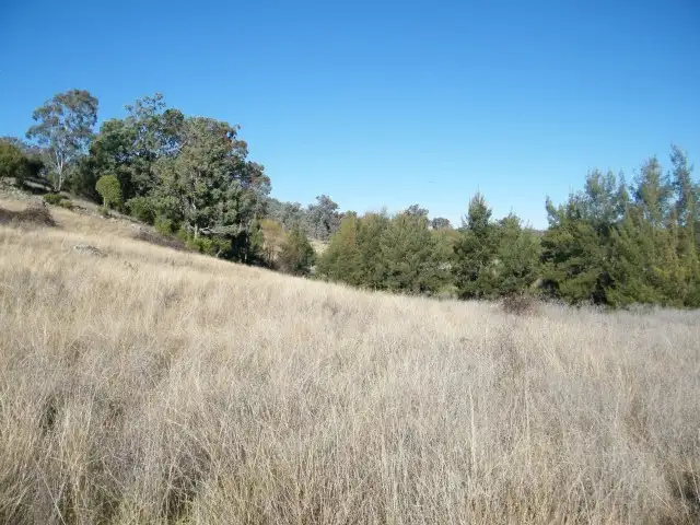 Sixth view of Homely rural property listing, 494 Hamiltons Road, Quirindi NSW 2343