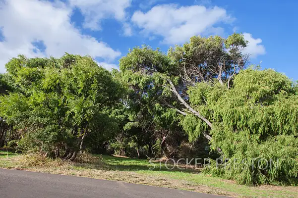 Fourth view of Homely land listing, 21 Wooredah Crescent, Prevelly WA 6285