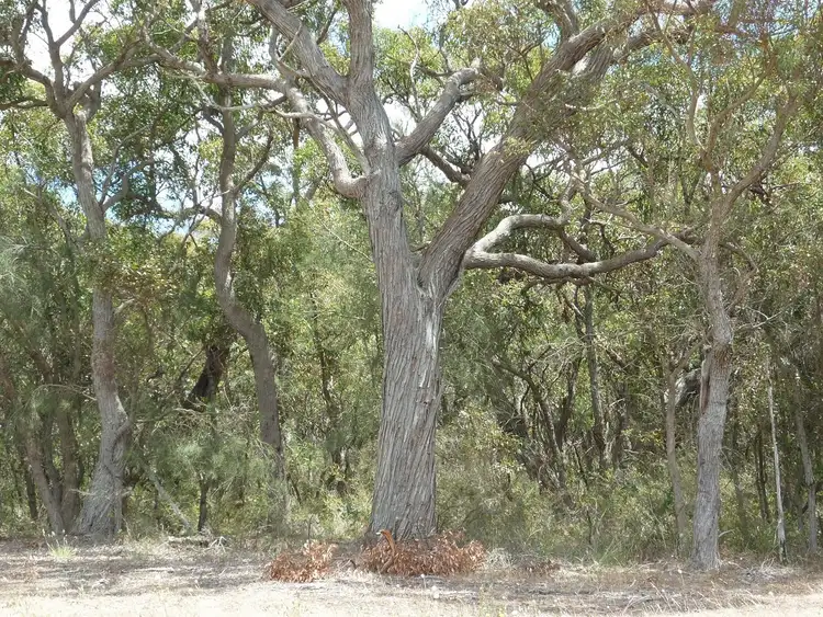 Third view of Homely rural property listing, Lot 58 Mokare Rise, Mount Barker WA 6324