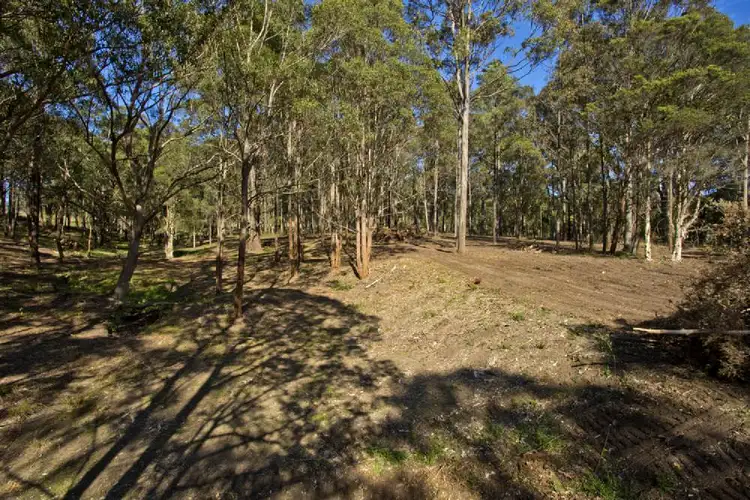 5 Taylor Road, Black Hill NSW 2322
