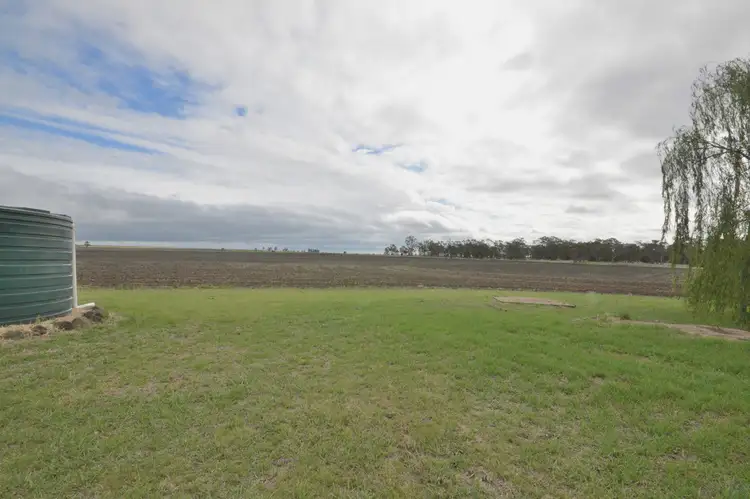 Second view of Homely rural property listing, 40 Ipomea Street, Emu Vale QLD 4371