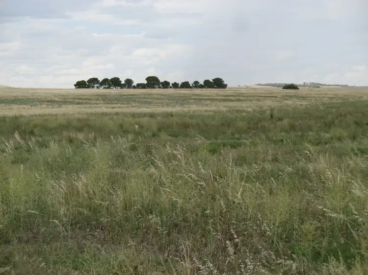 Second view of Homely rural property listing, - 'Sweets', Booleroo Centre SA 5482