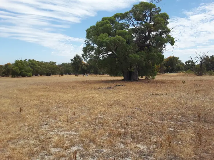 Main view of Homely rural property listing, 1350 TEATREE ROAD, Bindoon WA 6502