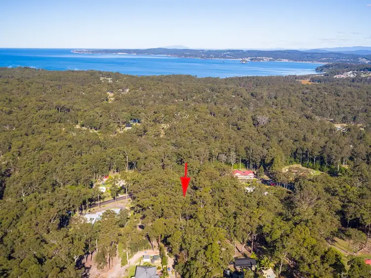 Fifth view of Homely land listing, Lot 195 Tree Fern Place, Long Beach NSW 2536