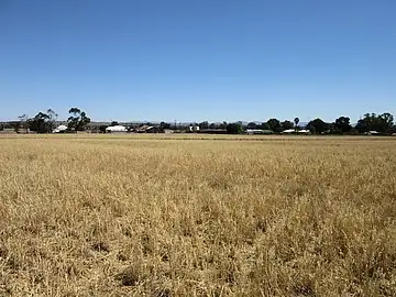 Seventh view of Homely rural property listing, Lot 2 'Alvin' Ridge Street, Attunga NSW 2345