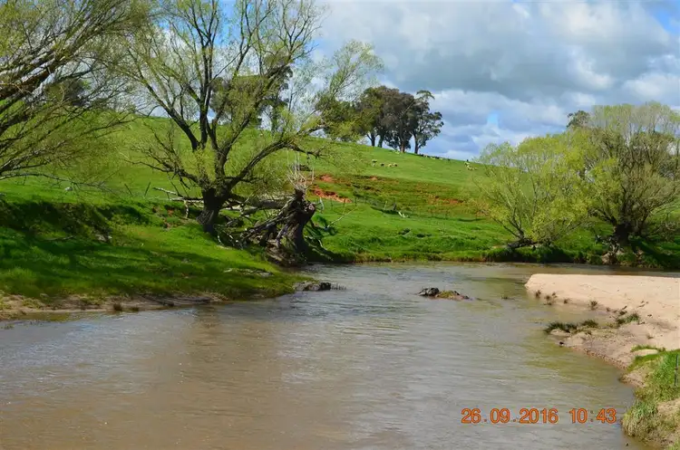 Third view of Homely rural property listing, 337 Ellerslie Road, Adelong NSW 2729
