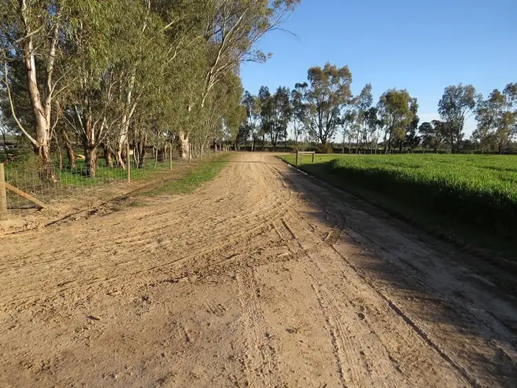 Third view of Homely rural property listing, 264 OLD DENILIQUIN ROAD, Moama NSW 2731