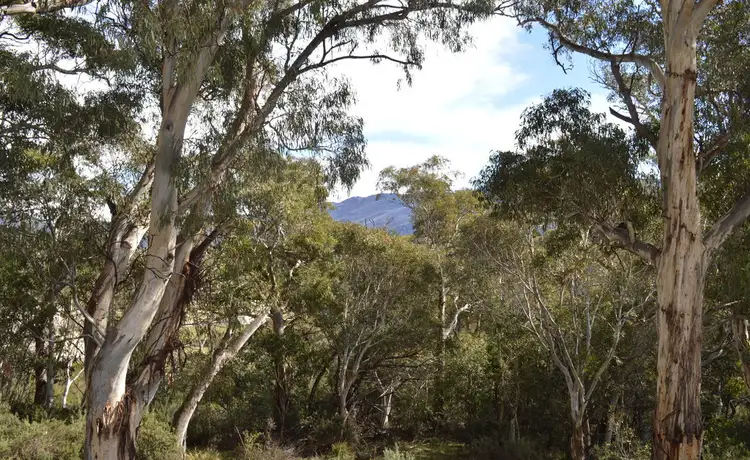 Second view of Homely house listing, 1394 Alpine Way, Jindabyne NSW 2627