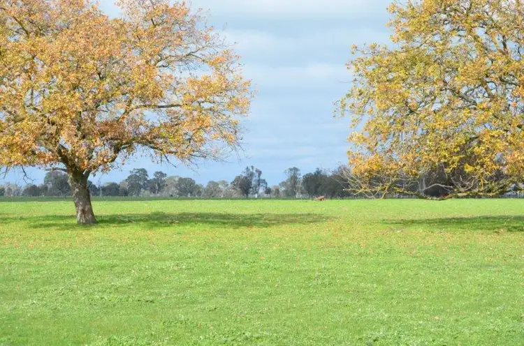 Main view of Homely rural property listing, 1495 Wimmera Highway, Apsley VIC 3319