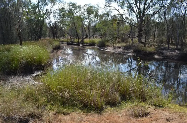 Fourth view of Homely rural property listing, 2123 Pilliga Rd, Wee Waa NSW 2388