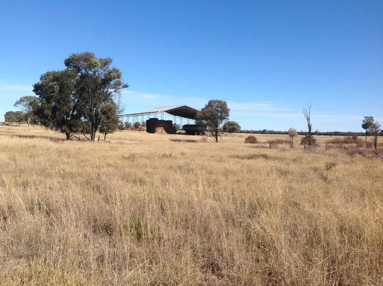 Fourth view of Homely rural property listing, " Wollambi ", Meandarra QLD 4422