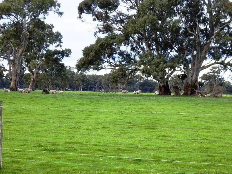 Main view of Homely rural property listing, 599 Fullertons Road, Poolaijelo VIC 3312