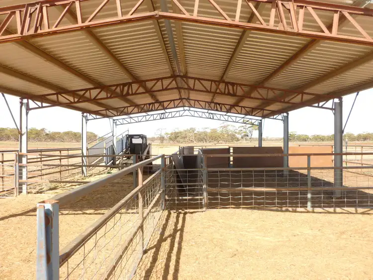 Third view of Homely rural property listing, - Nackara, Peterborough SA 5422