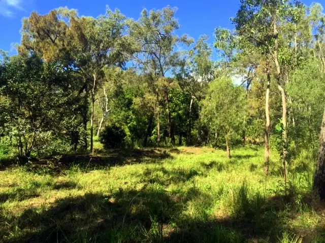 Fourth view of Homely land listing, lot 41 Creevey Drive, Captain Creek QLD 4677