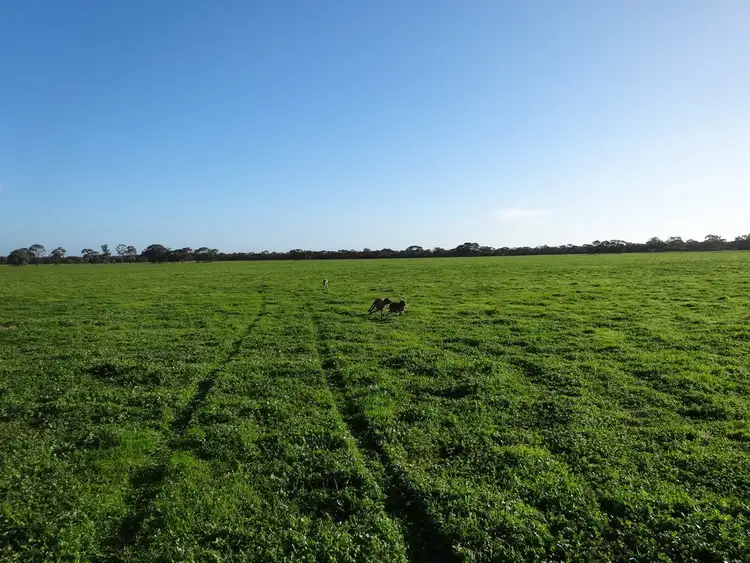 Third view of Homely rural property listing, 2376 Red Bluff Road, Bordertown SA 5268