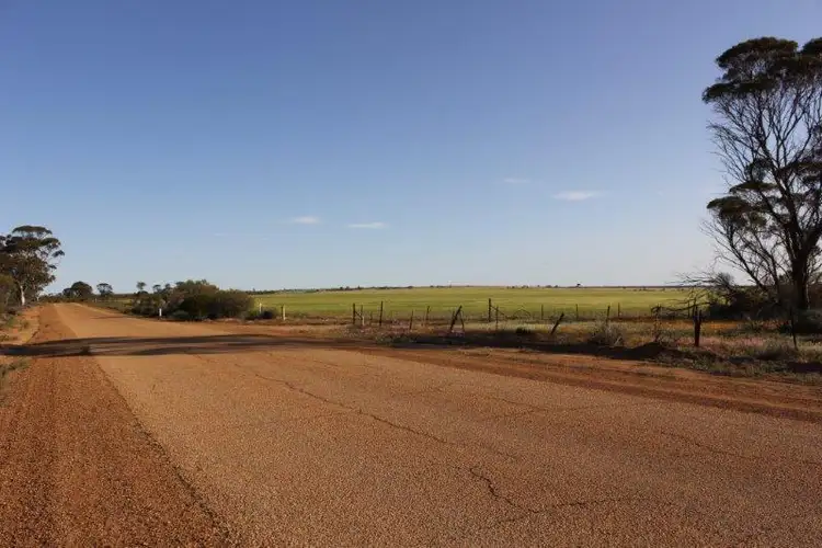 Third view of Homely rural property listing, Lot 14030 Chandler-Merredin Road, Goomarin WA 6415