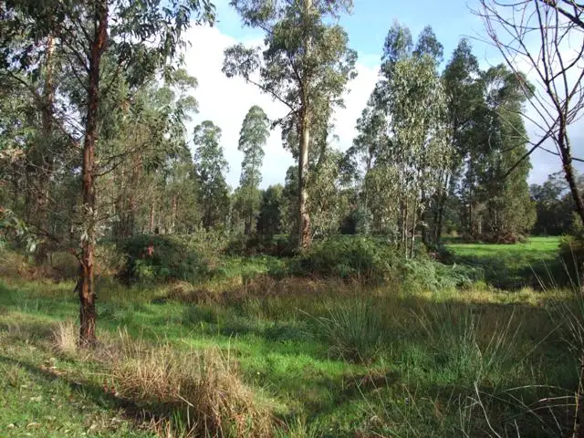 Second view of Homely rural property listing, Lot 40 WOYLIE ROAD, Northcliffe WA 6262