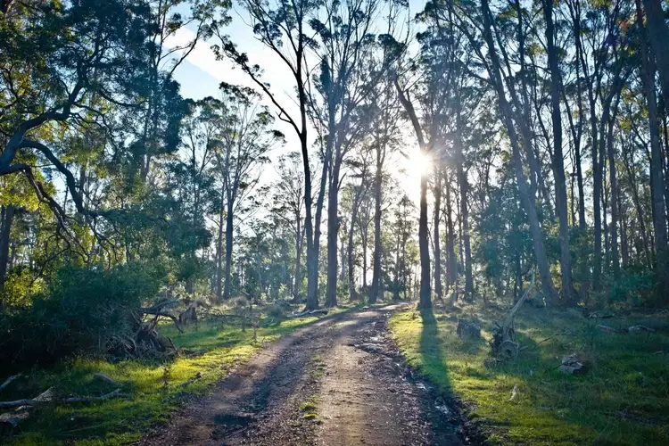 Second view of Homely rural property listing, 762 Adelphi Road, Whitemore TAS 7303