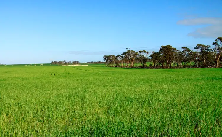 Third view of Homely rural property listing, - Lakeside, Corrigin WA 6375