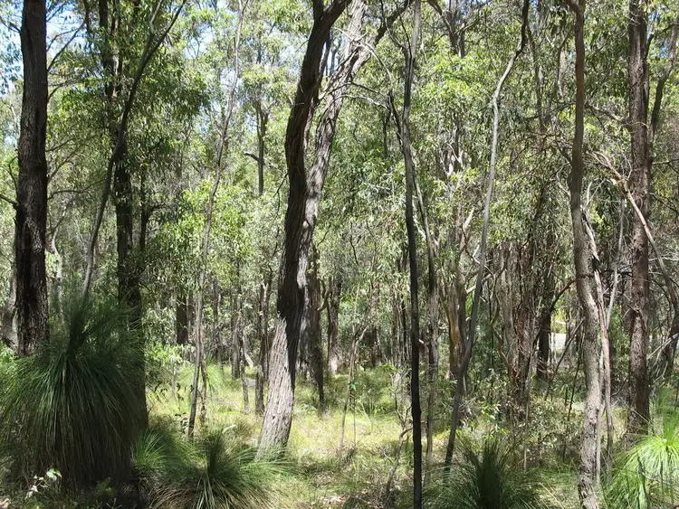 Fifth view of Homely land listing, Lot 180 Tsavo Street, Mundaring WA 6073