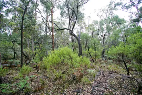 Fourth view of Homely rural property listing, 404 White Cedars Rd, Mudgee NSW 2850