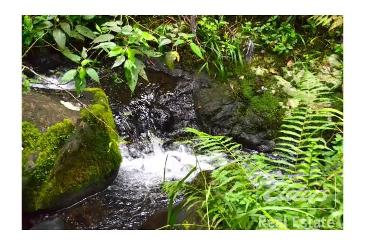 Main view of Homely rural property listing, Address available on request