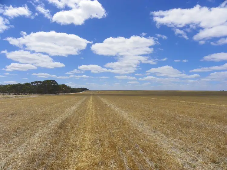 Sixth view of Homely rural property listing, Lot 1761 Needilup Road, Pingrup WA 6343