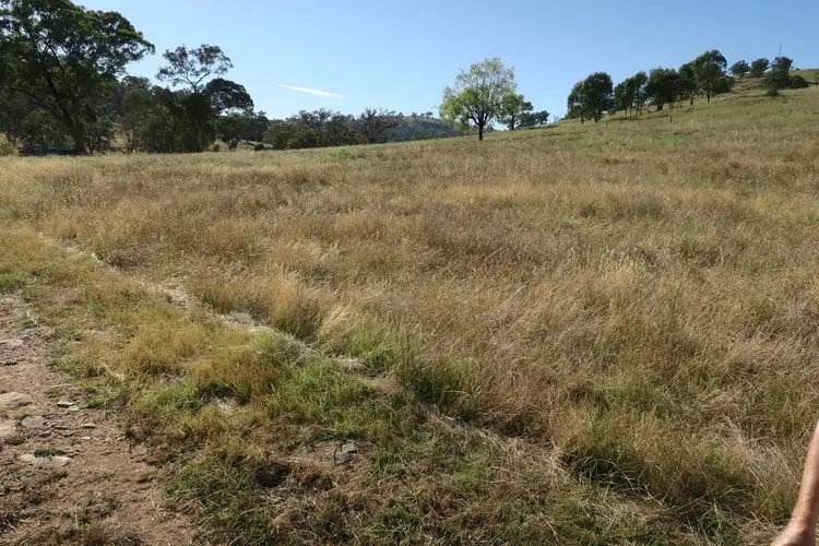 Sixth view of Homely rural property listing, 346 Gardiners Road, Mudgee NSW 2850