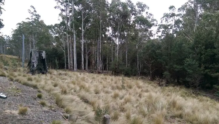 Third view of Homely rural property listing, Lot 6/600 Mount Barrow Rd, Nunamara TAS 7259