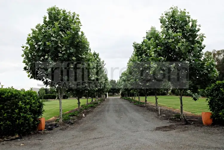 Third view of Homely house listing, 3 Mancini Drive, Lake Wyangan NSW 2680