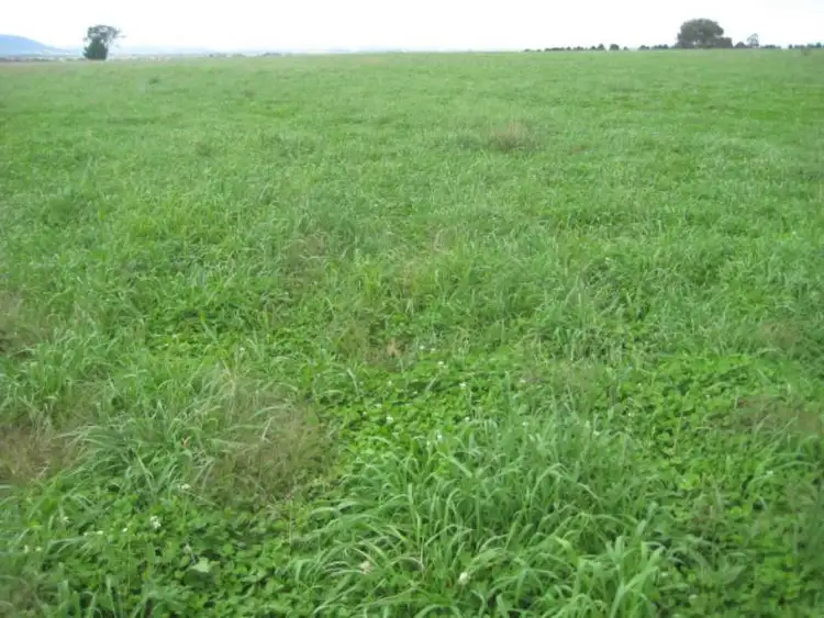 Sixth view of Homely rural property listing, 301 Robinsons  Road, Young NSW 2594